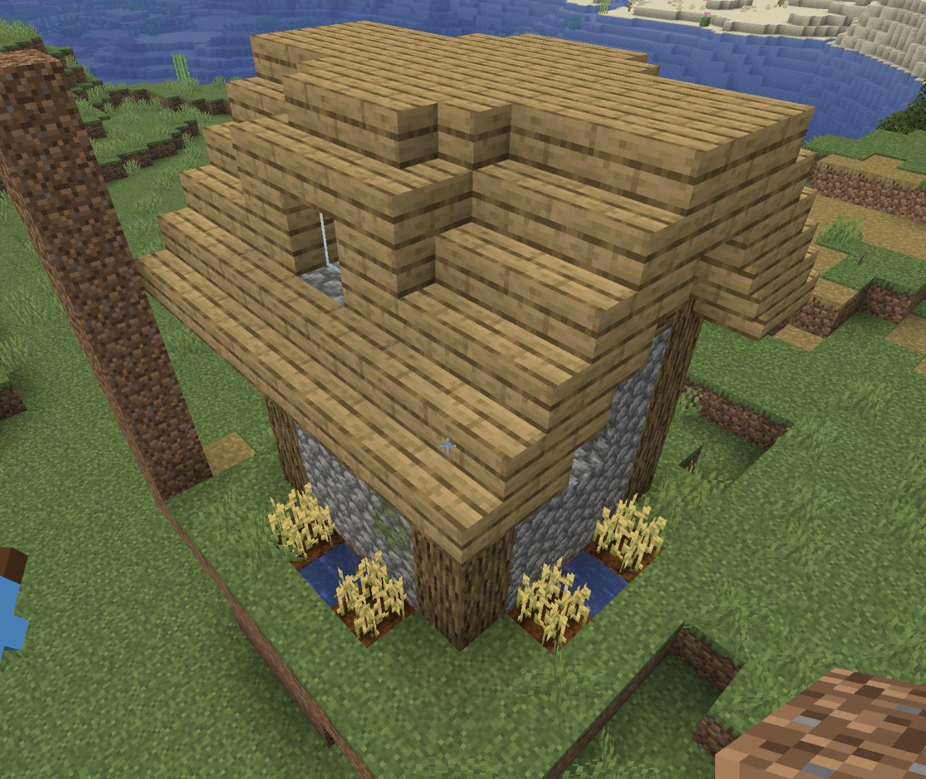 village house screenshot